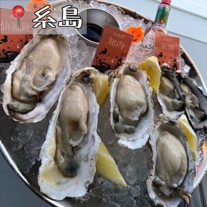 OCEAN HOUSE(オーシャンハウス) 6枚目