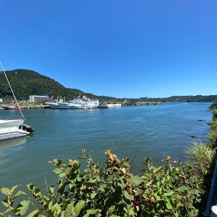 Satoshi.Nさんが投稿したペリー艦隊来航記念碑に関する口コミの画像