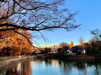 碑文谷公園