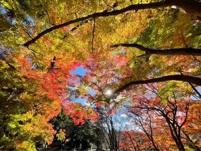 根來寺