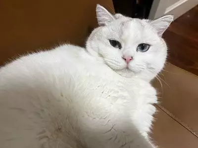 田子坊