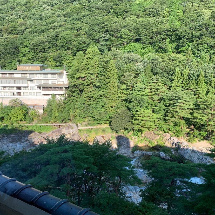 sunflower٭¨̮さんが投稿した日光人形の美術館に関する口コミの画像
