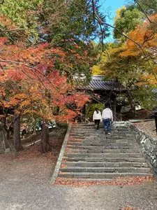 丈六寺