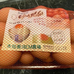 たまごハウス 1枚目