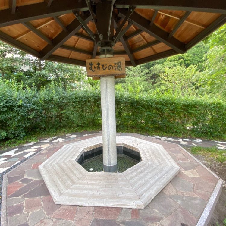 かめ_メグミさんが投稿した川治ふれあい公園に関する口コミの画像
