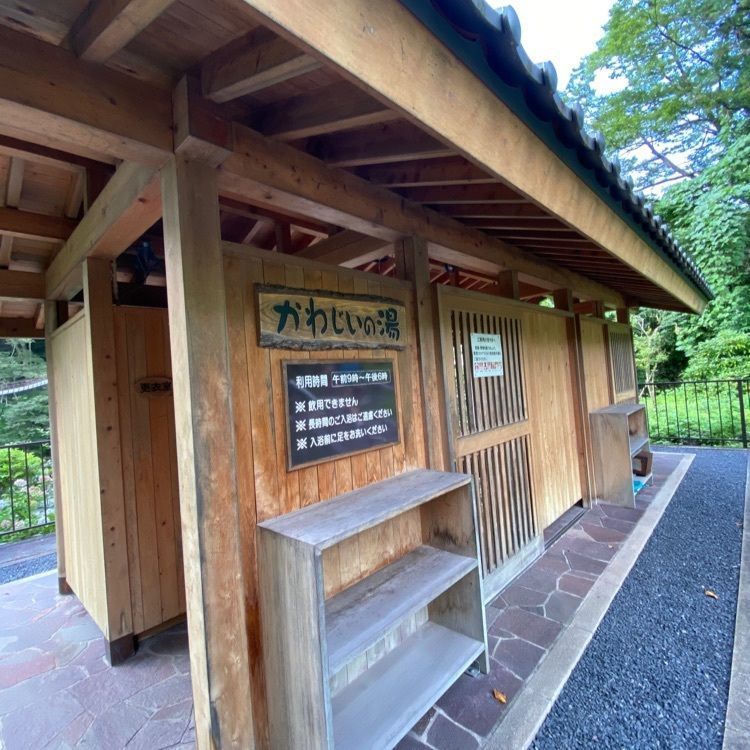 かめ_メグミさんが投稿した川治ふれあい公園に関する口コミの画像