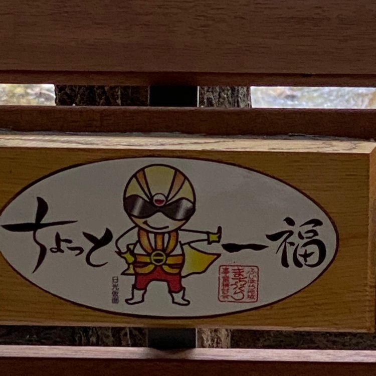 かめ_メグミさんが投稿した川治ふれあい公園に関する口コミの画像