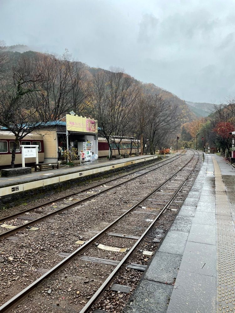 あいりんさんが投稿した上神梅駅（わたらせ渓谷鐵道）に関する口コミの画像