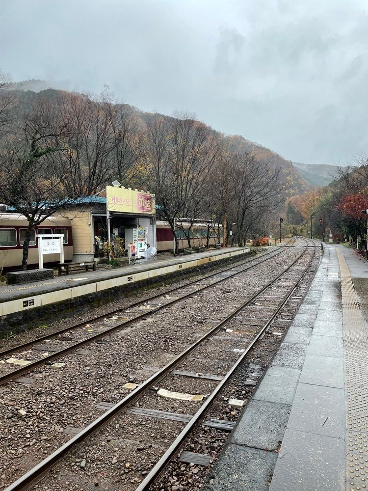 あいりんさんが投稿した上神梅駅（わたらせ渓谷鐵道）に関する口コミの画像