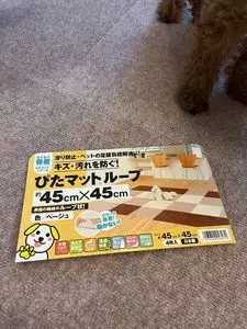 コーナン 枚方野村店