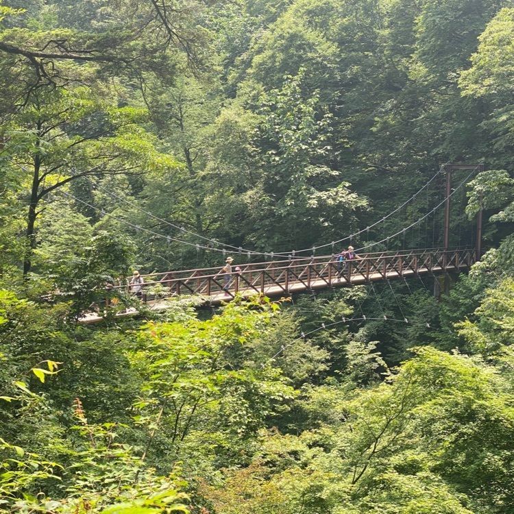 かよこさんが投稿した東京都檜原都民の森に関する口コミの画像