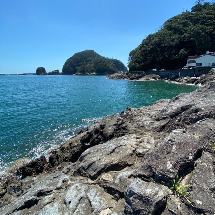 Satoshi.Nさんが投稿した和歌の浦遊歩道に関する口コミの画像