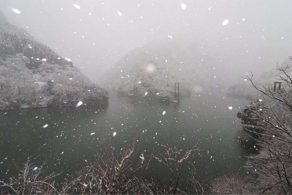 taka_wildflowerさんが投稿した庄川に関する口コミの画像