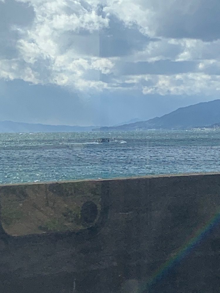 影の戦闘隊さんが投稿した朝霧駅に関する口コミの画像