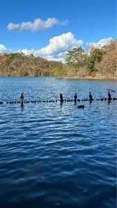 宝が池公園
