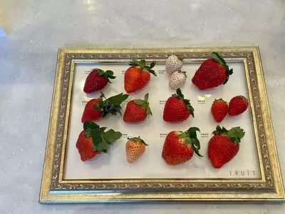 FRUIT 御堂筋店（フルーツ）