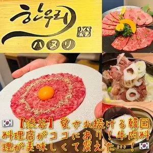 ユッケ 焼肉 生サムギョプサル 手打ち冷麺 ハヌリ 渋谷本店