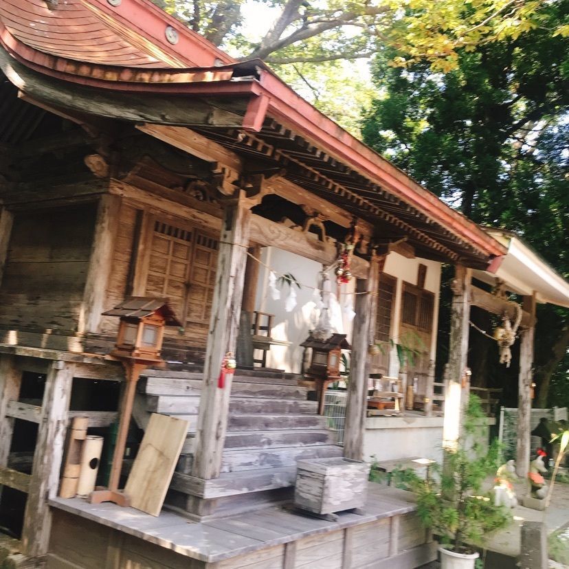 猫なぎ。さんが投稿した鹿島御児神社に関する口コミの画像