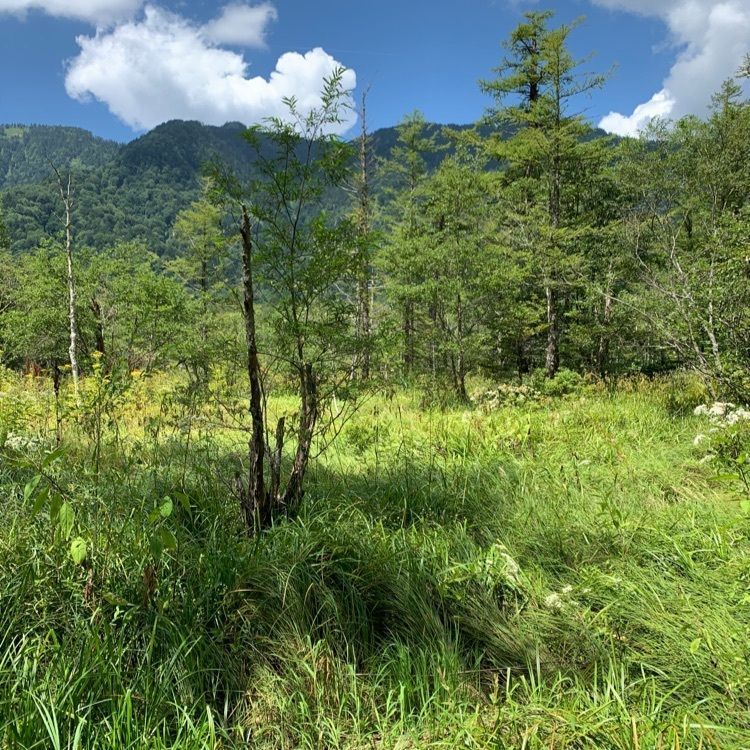 favorite_garden_9805さんが投稿した田代池に関する口コミの画像