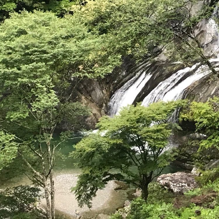 norisanさんが投稿した瀬戸川渓谷に関する口コミの画像