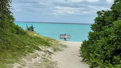 大金久海岸