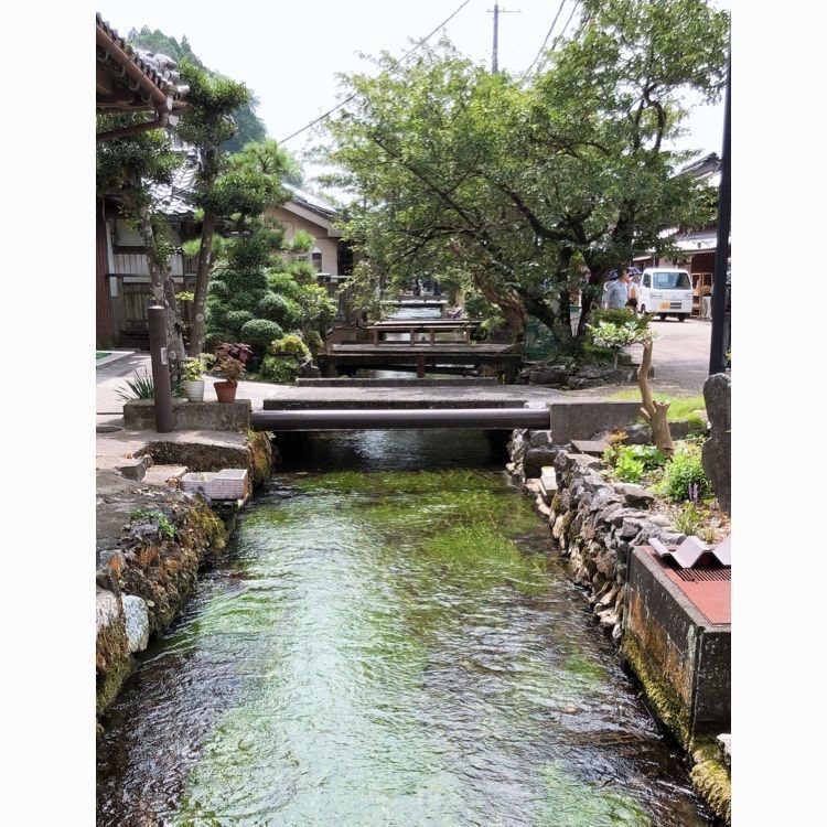 nicanさんが投稿した居醒の清水に関する口コミの画像