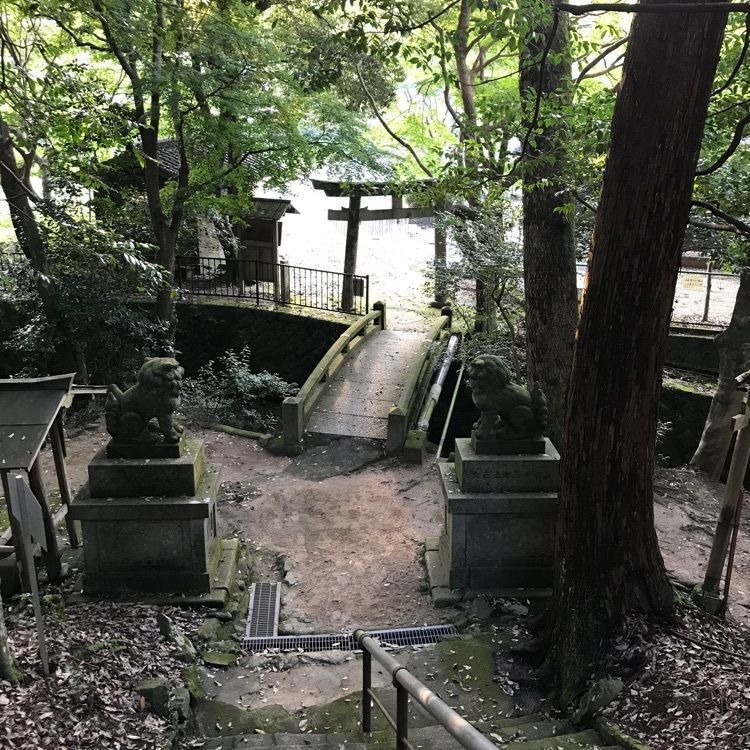 NBR OTさんが投稿した白山神社に関する口コミの画像