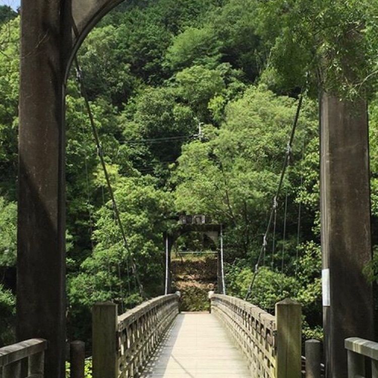 NBR OTさんが投稿した天ヶ瀬吊橋に関する口コミの画像