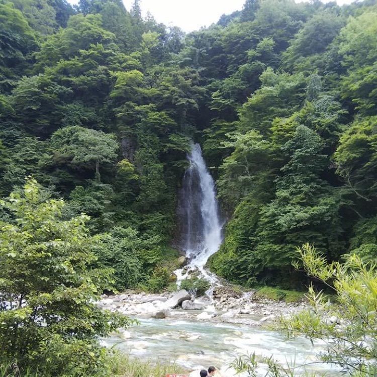ＤＪゴン太さんが投稿した恵那山ウェストン公園に関する口コミの画像