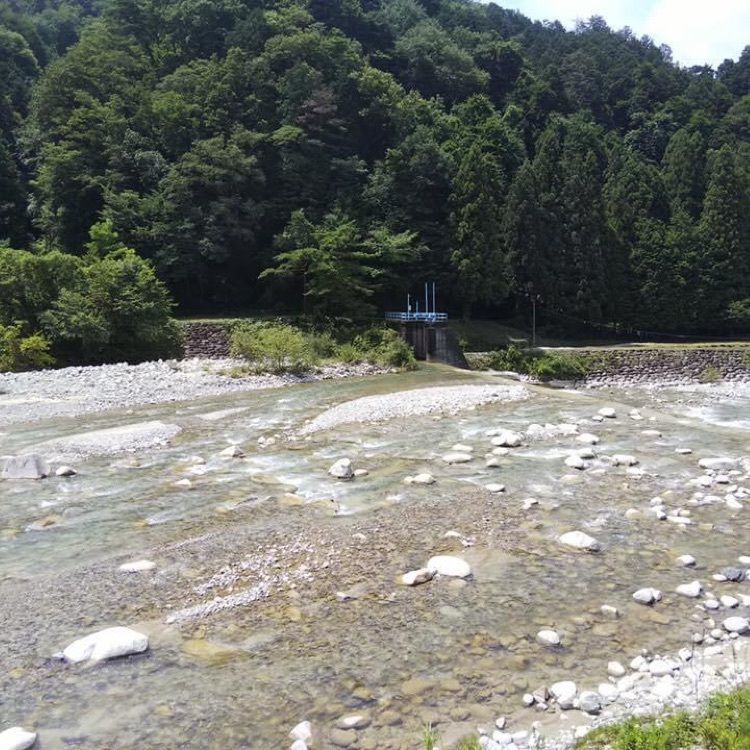 ＤＪゴン太さんが投稿した恵那山ウェストン公園に関する口コミの画像