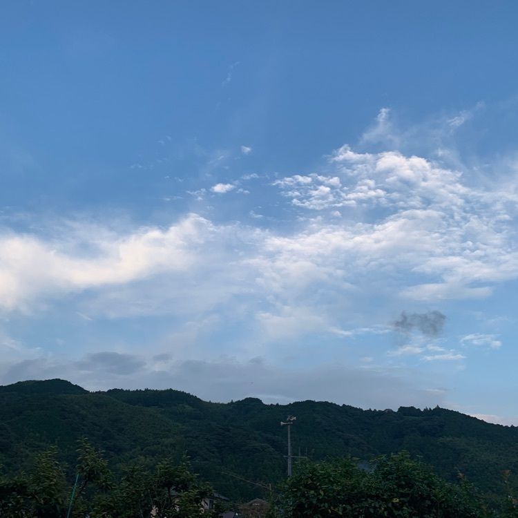 hirokororinさんが投稿した藤枝市に関する口コミの画像