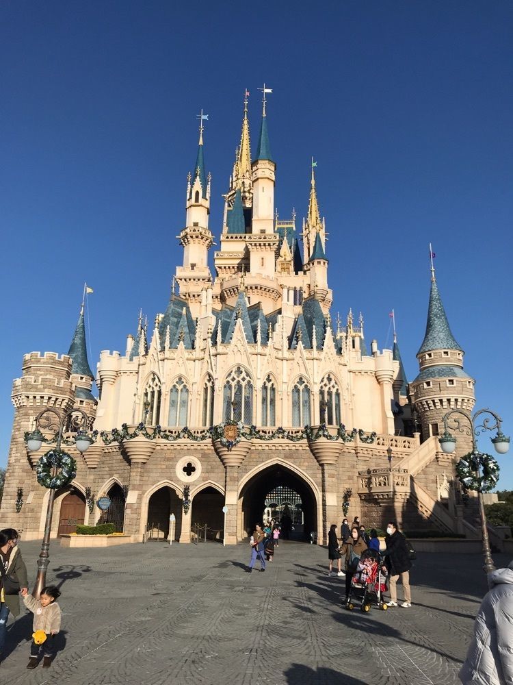 しぃさんが投稿したDisneylandに関する口コミの画像
