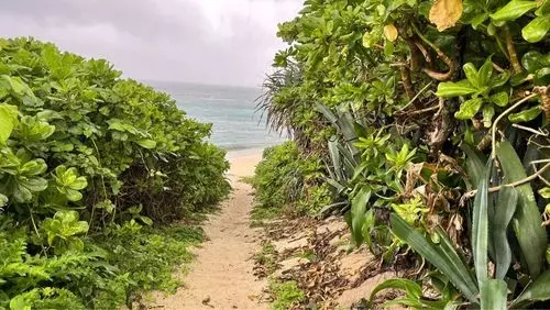 品覇海岸
