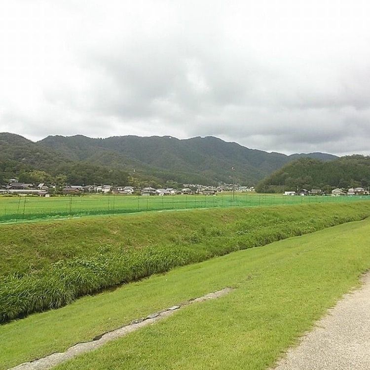 ＤＪゴン太さんが投稿した兵庫県立コウノトリの郷公園に関する口コミの画像