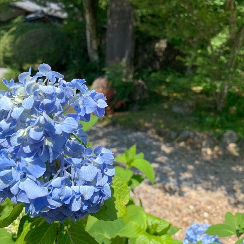 tom_takedaさんが投稿した宗休寺（関善光寺）に関する口コミの画像