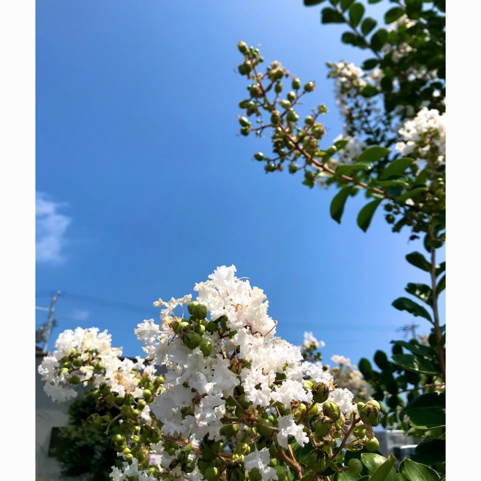 ＫMＴKさんが投稿した西村記念館に関する口コミの画像