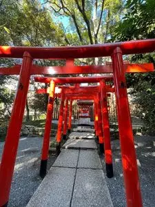 鳥居の結び葉（【旧店名】来宮神社お休み処）