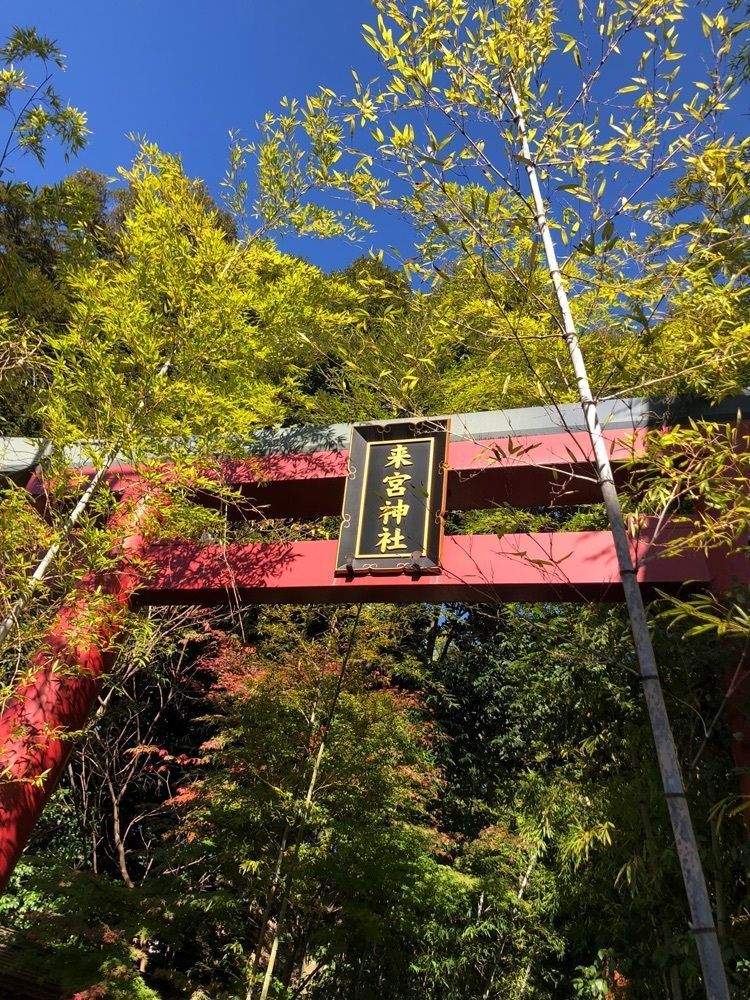 calm_showtime_4322さんが投稿した鳥居の結び葉（【旧店名】来宮神社お休み処）に関する口コミの画像