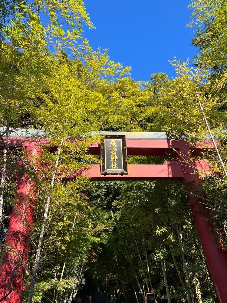 calm_showtime_4322さんが投稿した鳥居の結び葉（【旧店名】来宮神社お休み処）に関する口コミの画像