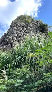 タチジャミ（立神）