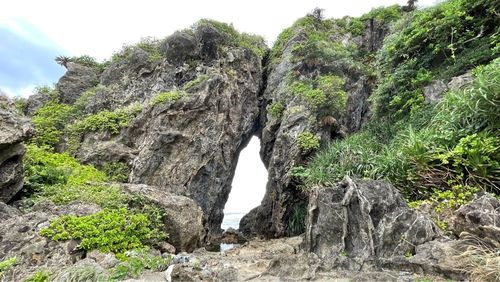 ミーフガー 2枚目