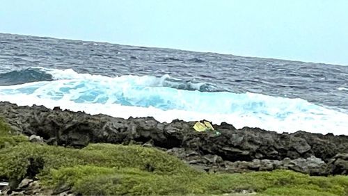 ミーフガー 6枚目