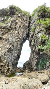 ミーフガー 8枚目