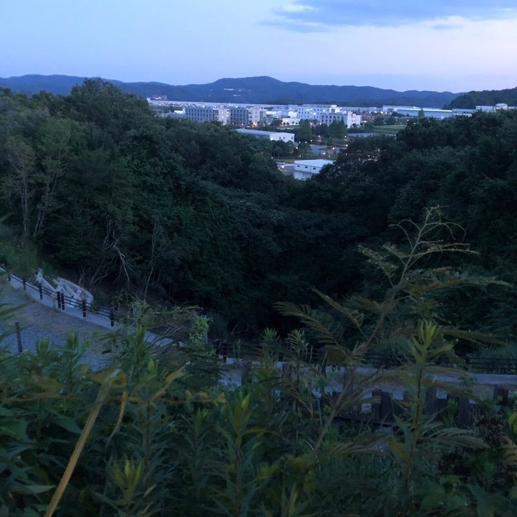 vast_location_1427さんが投稿したボルカノ三原牧場店に関する口コミの画像