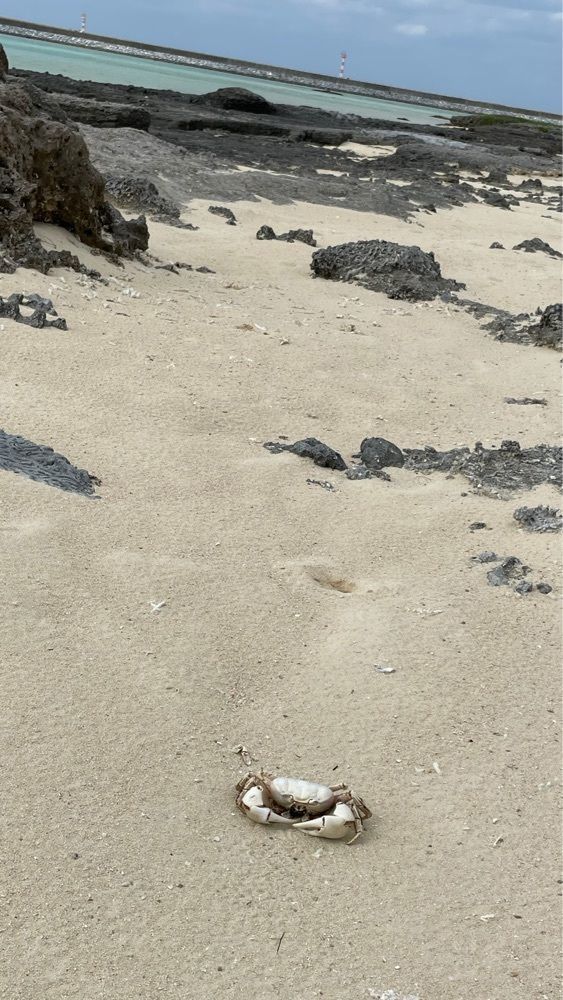 みぃさんが投稿したシンリ浜ビーチに関する口コミの画像