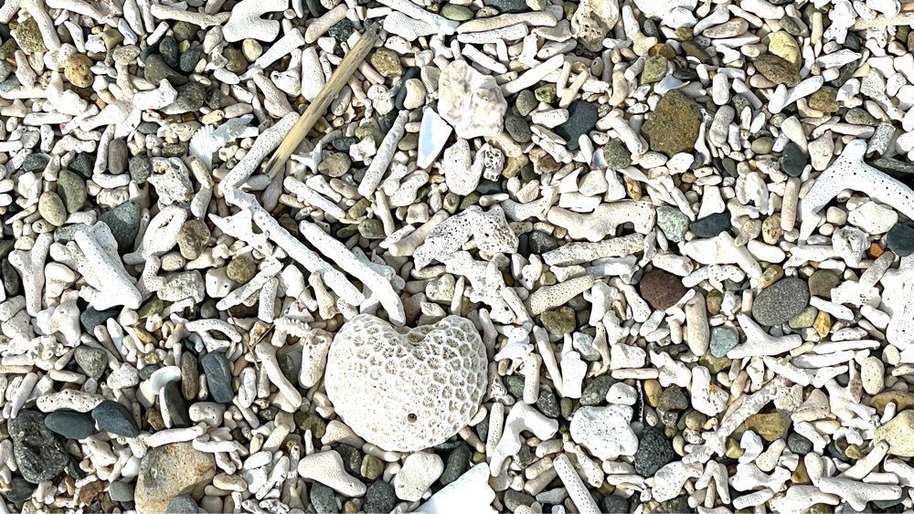 みぃさんが投稿したアーラ浜に関する口コミの画像