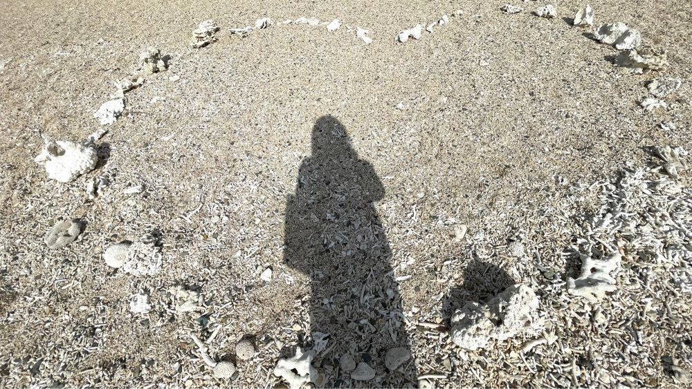 みぃさんが投稿したアーラ浜に関する口コミの画像