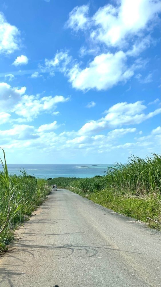みぃさんが投稿したアーラ浜に関する口コミの画像