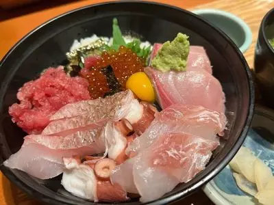 豆狸（まめだ）