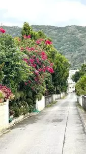 シーフレンド 2枚目